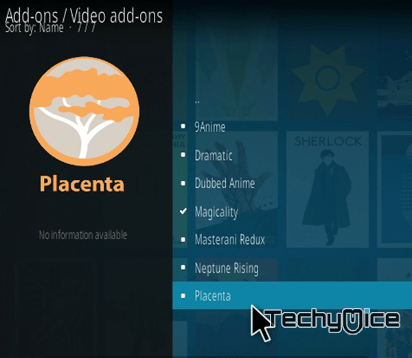 Placenta Kodi Addon
