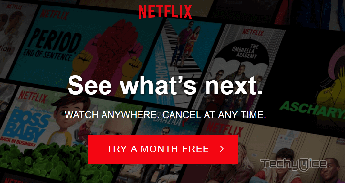Netflix on FireStick