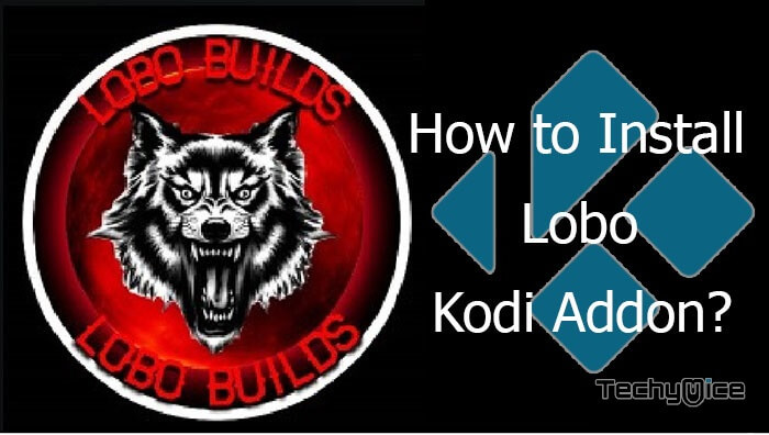 How to Install Lobo Kodi Build in Leia 18.2?