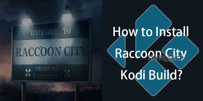 How to Install Racoon City Build on Kodi Leia 18.2?