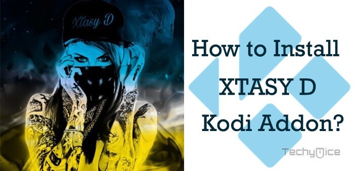 How to Install XTASY D Kodi Addon on Leia 18?