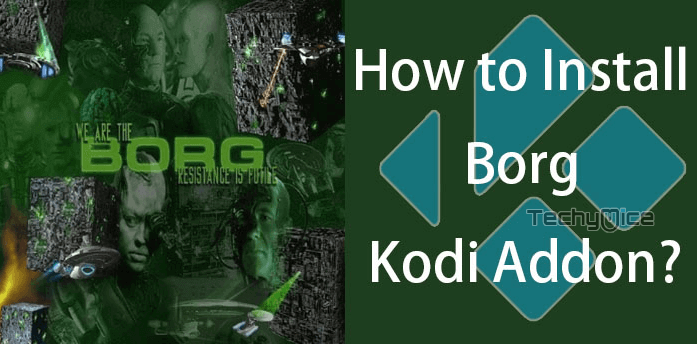 How to Install Borg Kodi Addon on Leia & Krypton? 2020