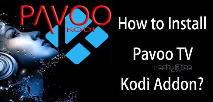How to Install Pavoo TV Kodi Addon on Leia?