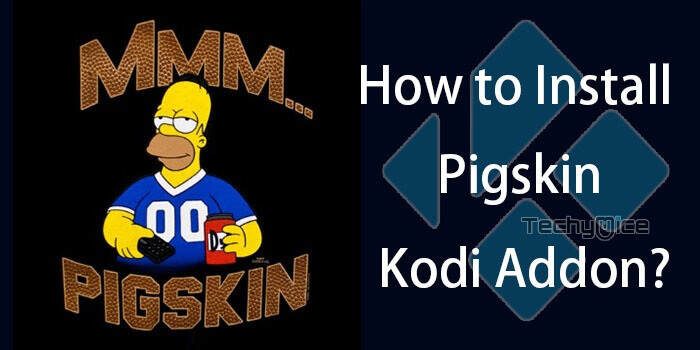 How to Install Pigskin Kodi Addon on Leia 18.4 & Krypton?