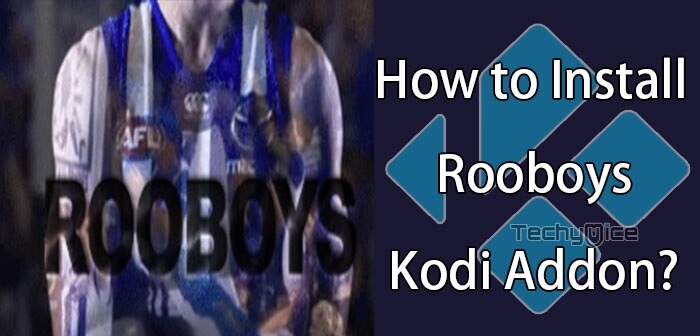 How to Install Rooboys Kodi Addon on Leia 18.4 & Krypton?