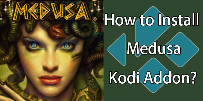 How to Install Medusa Kodi Addon on Leia & Krypton?