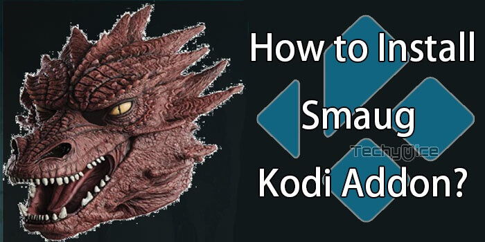 How to Install Smaug Kodi Addon on Leia & Krypton?