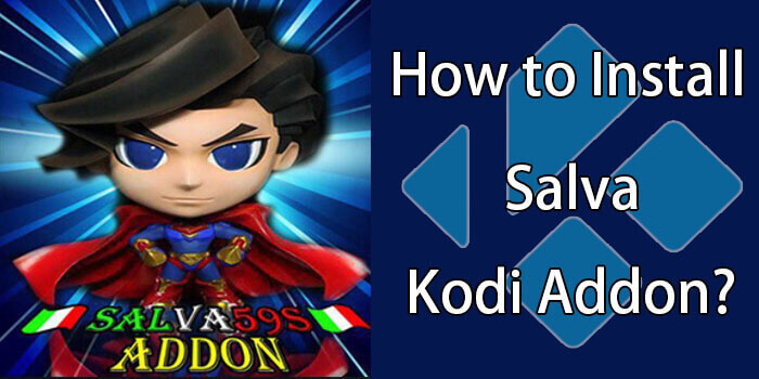 How to Install Salva Kodi Addon on Leia & Krypton?