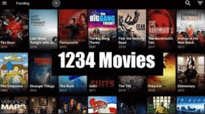 1234 Movies on FireStick
