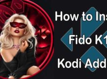 Fido K19 Kodi Addon – Installation Guide for 2022