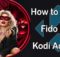 Fido K19 Kodi Addon – Installation Guide for 2022