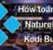 How to Install Nature Man Kodi Build in 2022?