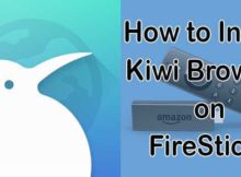 How to Install Kiwi Browser on FireStick / Fire TV?