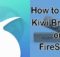 How to Install Kiwi Browser on FireStick? [2023]